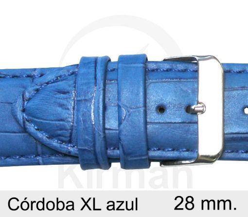 CORREA PIEL AZUL