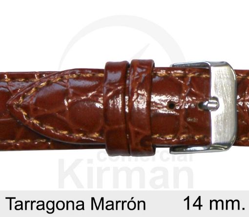 CORREA PIEL MARRÓN