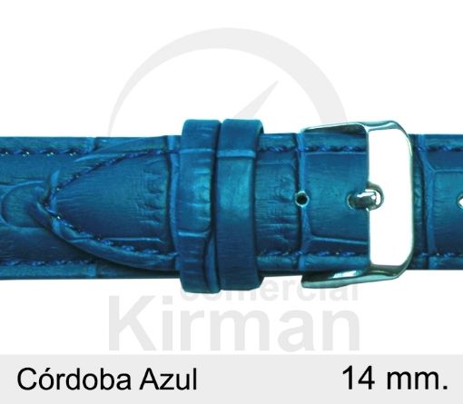 CORREA PIEL AZUL
