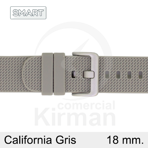 Imagen de Correa Smart silicona gris California 18 mm