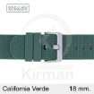 Imagen de Correa Smart silicona verde California 18 mm