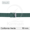 Imagen de Correa Smart silicona verde California 18 mm