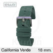 Imagen de Correa Smart silicona verde California 18 mm