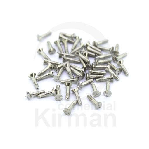 Imagen de 100 Tornillos para Hublot