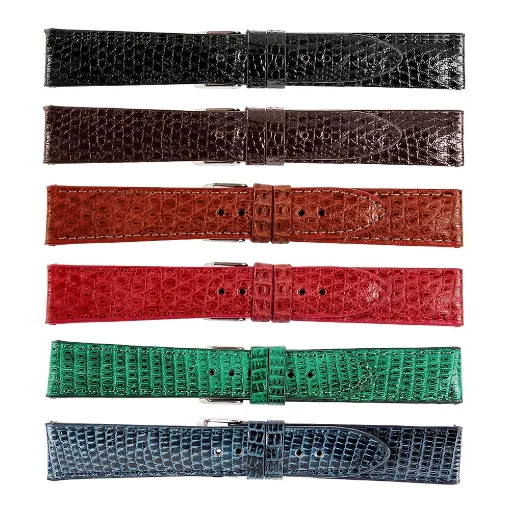 Imagen de Correas de piel legítima Coímbra 