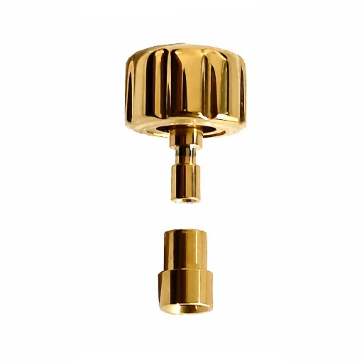 Imagen de Corona Citizen dorada R90 Ø 4.00 T 220 mm