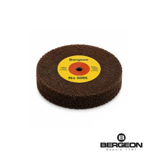 Disco Bergeon de carburo de silicio Ø 100 mm. 6085-E2